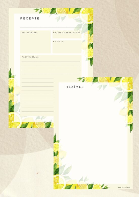 Recepšu karte + piezīmju lapa